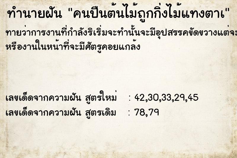 ทำนายฝันทำนายฝันคนปืนต้นไม้ถูกกิ่งไม้แทงตาà