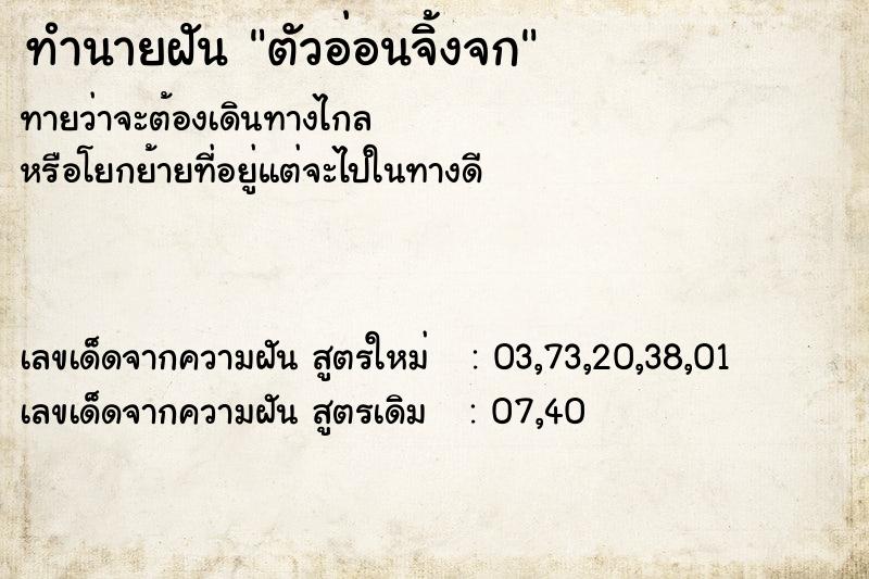 ทำนายฝัน ตัวอ่อนจิ้งจก ทำนายฝัน ตัวอ่อนจิ้งจก