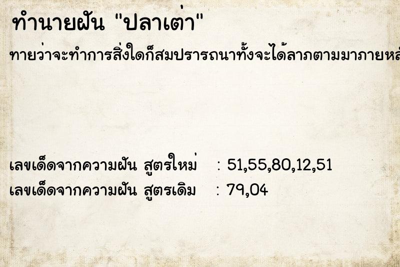 ทำนายฝันทำนายฝันปลาเต่า