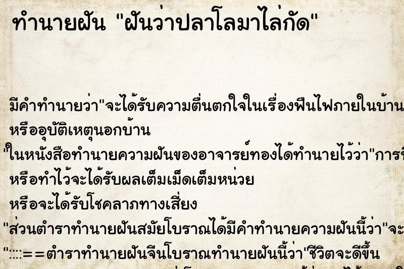 ทำนายฝัน ฝันว่าปลาโลมาไล่กัด ทำนายฝัน ฝันว่าปลาโลมาไล่กัด