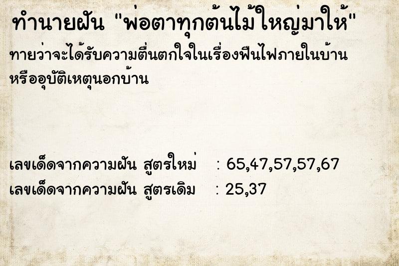 ทำนายฝันพ่อตาทุกต้นไม้ใหญ่มาให้ ทำนายฝันทำนายฝันพ่อตาทุกต้นไม้ใหญ่มาให้