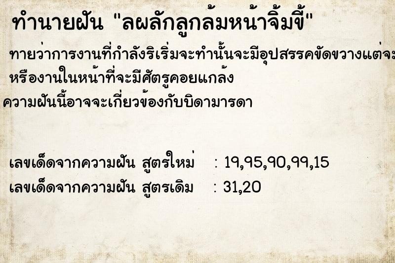 ทำนายฝันทำนายฝันลผลักลูกล้มหน้าจิ้มขี้