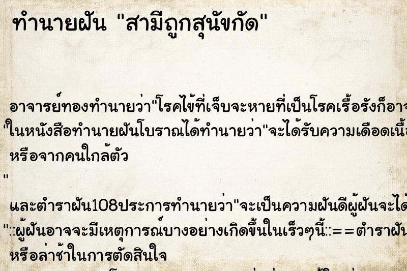 ทำนายฝัน สามีถูกสุนัขกัด ทำนายฝัน สามีถูกสุนัขกัด