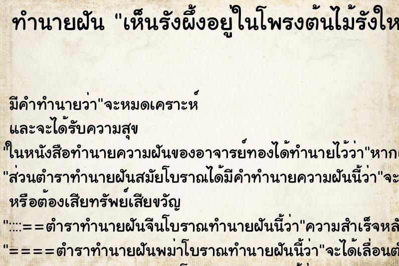 ทำนายฝัน เห็นรังผึ้งอยู่ในโพรงต้นไม้รังใหญ่มาก ทำนายฝัน เห็นรังผึ้งอยู่ในโพรงต้นไม้รังใหญ่มาก