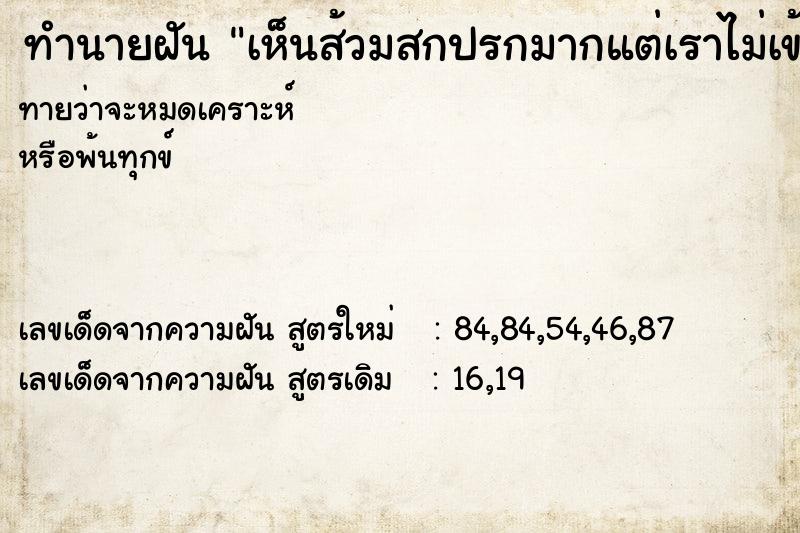 ทำนายฝันทำนายฝันเห็นส้วมสกปรกมากแต่เราไม่เข้า