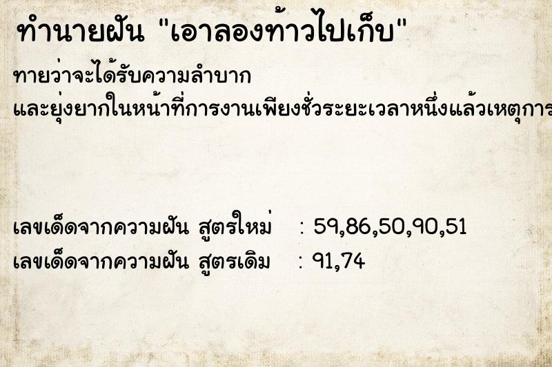 ทำนายฝันทำนายฝันเอาลองท้าวไปเก็บ