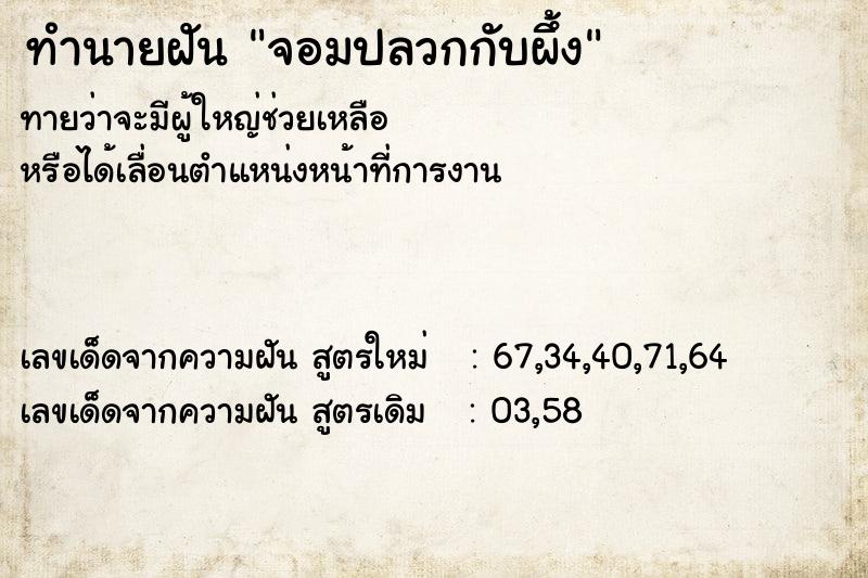 ทำนายฝันจอมปลวกกับผึ้ง ทำนายฝันทำนายฝันจอมปลวกกับผึ้ง