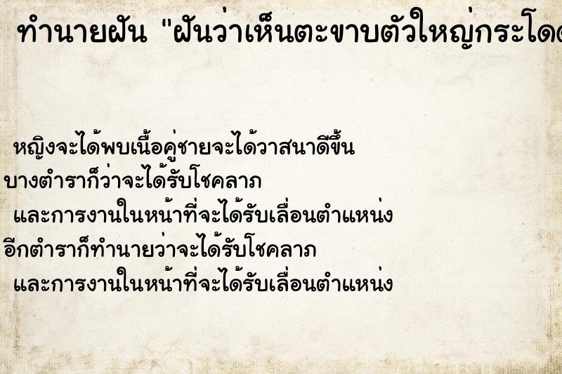 ทำนายฝัน ฝันว่าเห็นตะขาบตัวใหญ่กระโดดเกาะ ทำนายฝัน ฝันว่าเห็นตะขาบตัวใหญ่กระโดดเกาะ
