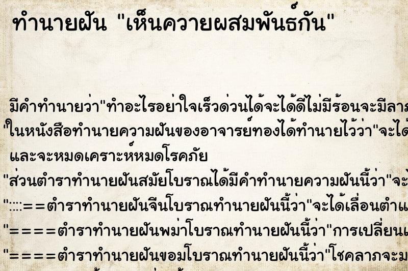 ทำนายฝัน เห็นควายผสมพันธ์กัน ตำราโบราณ แม่นที่สุดในโลก