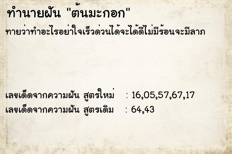 ทำนายฝัน ต้นมะกอก ทำนายฝัน ต้นมะกอก