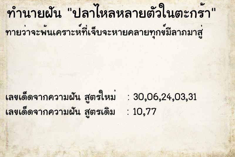 ทำนายฝัน ปลาไหลหลายตัวในตะกร้า ทำนายฝัน ปลาไหลหลายตัวในตะกร้า