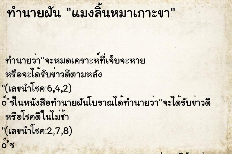 ทำนายฝันทำนายฝันแมงลิ้นหมาเกาะขา