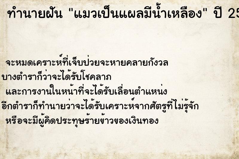 ทำนายฝันทำนายฝันแมวเป็นแผลมีน้ำเหลือง