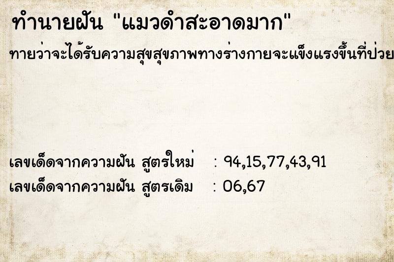 ทำนายฝันทำนายฝันแมวดำสะอาดมาก