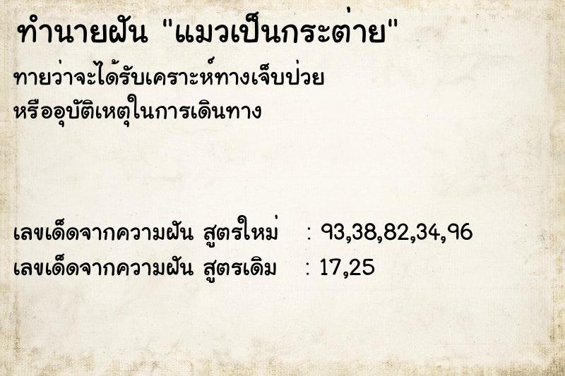 ทำนายฝัน แมวเป็นกระต่าย ทำนายฝัน แมวเป็นกระต่าย
