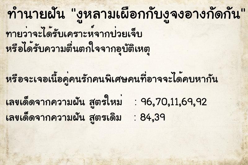 ทำนายฝันงูหลามเผือกกับงูจงอางกัดกัน ทำนายฝันทำนายฝันงูหลามเผือกกับงูจงอางกัดกัน