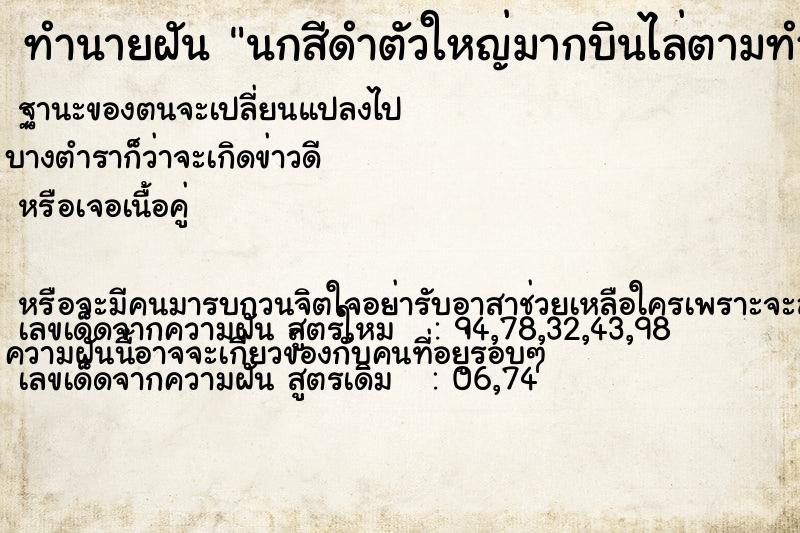 ทำนายฝัน นกสีดำตัวใหญ่มากบินไล่ตามทำร้าย แม่นๆ ฟรี ด้วยตำราหนังสือทำนายฝันโบราณ ทำนายฝันนกสีดำตัวใหญ่มากบินไล่ตามทำร้าย