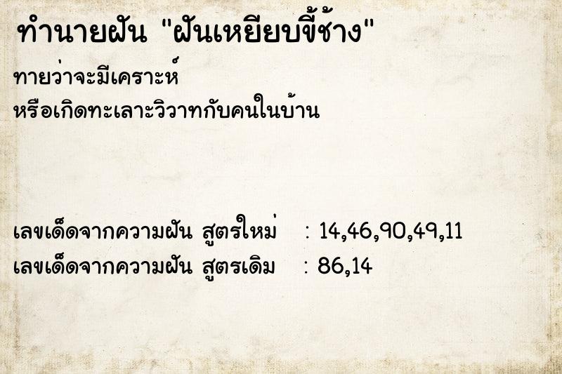 ทำนายฝันฝันเหยียบขี้ช้าง ทำนายฝันทำนายฝันฝันเหยียบขี้ช้าง