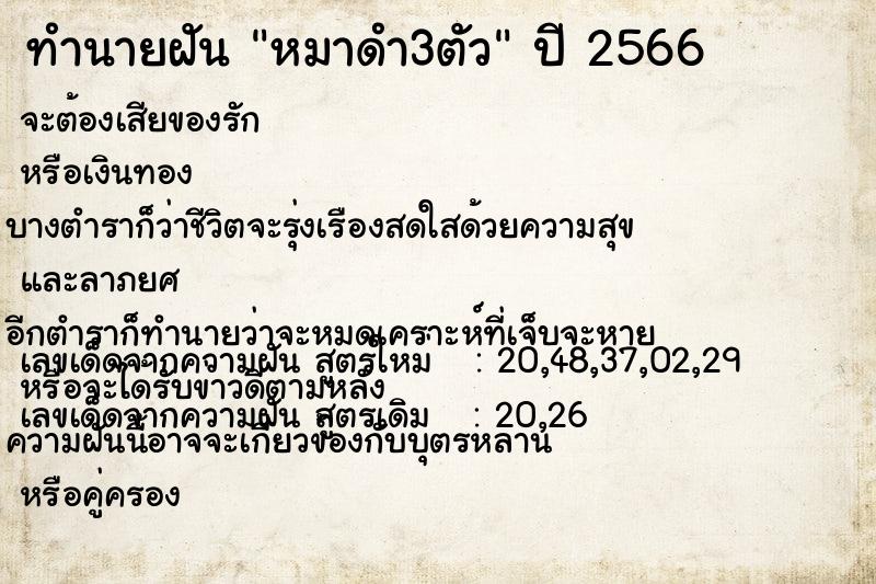 ทำนายฝัน หมาดำ3ตัว