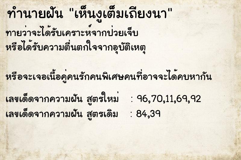 ทำนายฝันเห็นงูเต็มเถียงนา ทำนายฝันทำนายฝันเห็นงูเต็มเถียงนา