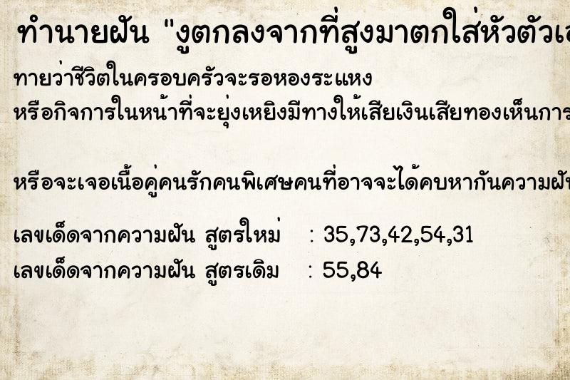 ทำนายฝันทำนายฝันงูตกลงจากที่สูงมาตกใส่หัวตัวเอง