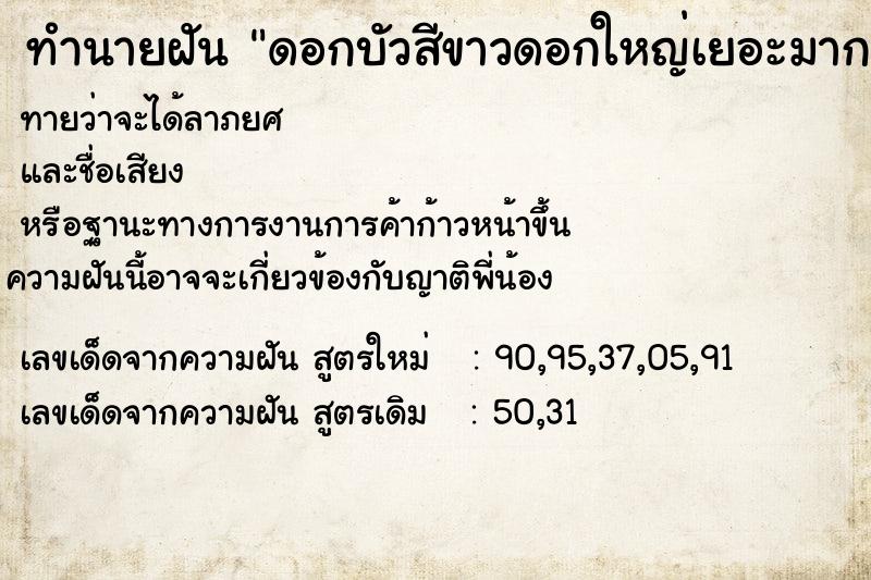 ทำนายฝันดอกบัวสีขาวดอกใหญ่เยอะมาก ทำนายฝันทำนายฝันดอกบัวสีขาวดอกใหญ่เยอะมาก