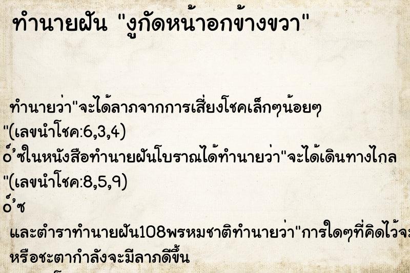 ทำนายฝัน งูกัดหน้าอกข้างขวา ทำนายฝัน งูกัดหน้าอกข้างขวา