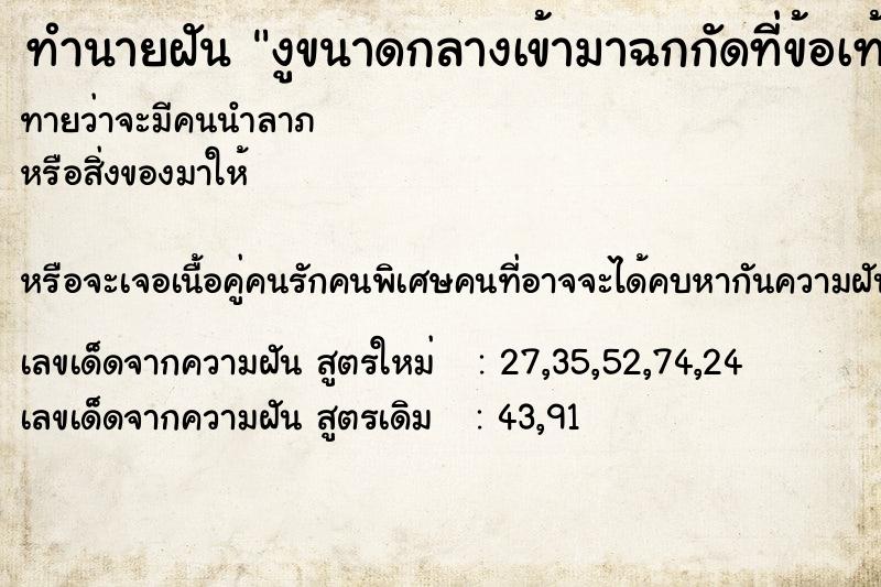 ทำนายฝันทำนายฝันงูขนาดกลางเข้ามาฉกกัดที่ข้อเท้าขวาแต่ไม่เป็นอะไร