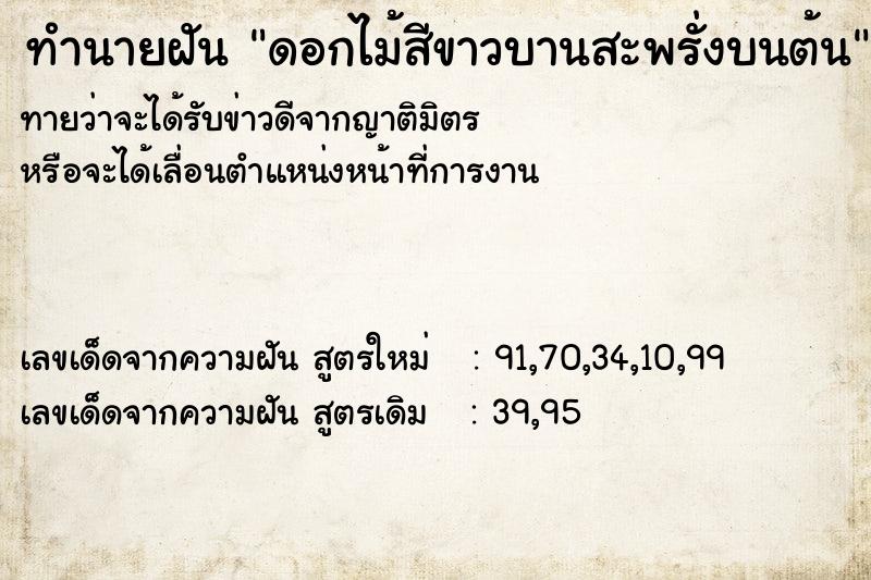 ทำนายฝันทำนายฝันดอกไม้สีขาวบานสะพรั่งบนต้น