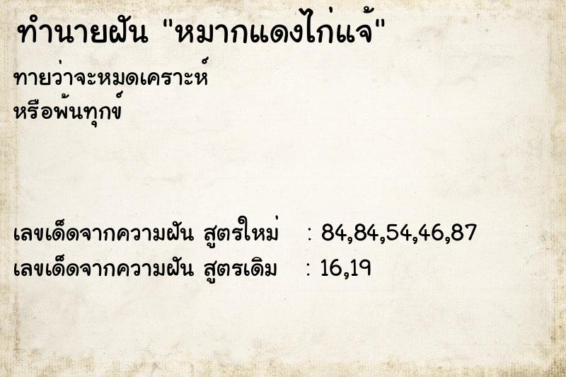 ทำนายฝันหมากแดงไก่แจ้ ทำนายฝันทำนายฝันหมากแดงไก่แจ้
