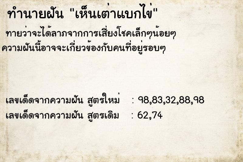 ทำนายฝัน เห็นเต่าแบกไข่ ทำนายฝัน เห็นเต่าแบกไข่