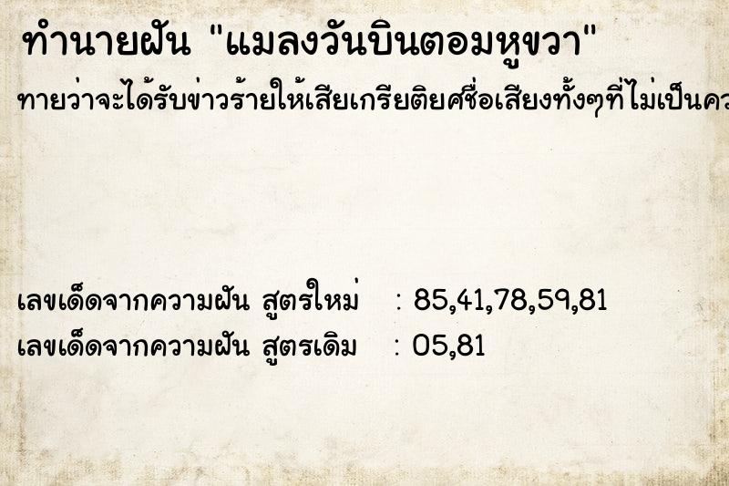 ทำนายฝันทำนายฝันแมลงวันบินตอมหูขวา