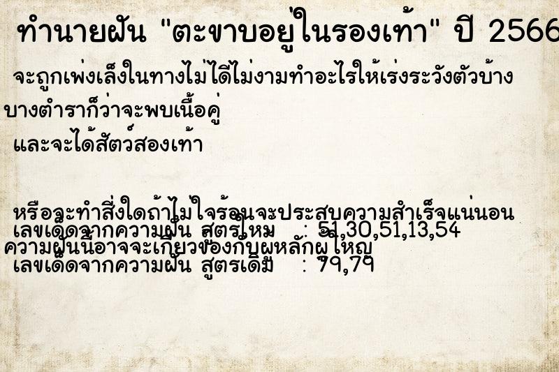 ทำนายฝัน ตะขาบอยู่ในรองเท้า ทำนายฝัน ตะขาบอยู่ในรองเท้า