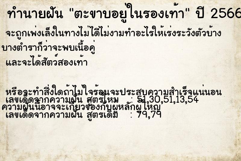 ทำนายฝัน ตะขาบอยู่ในรองเท้า ตำราโบราณ แม่นที่สุดในโลก