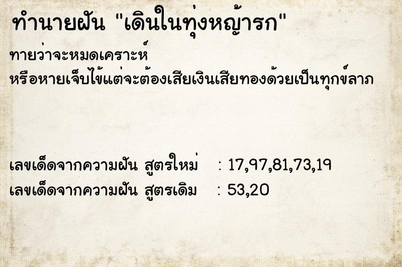 ทำนายฝันเดินในทุ่งหญ้ารก ทำนายฝันทำนายฝันเดินในทุ่งหญ้ารก