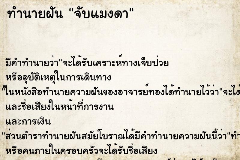 ทำนายฝัน จับแมงดา ทำนายฝัน จับแมงดา