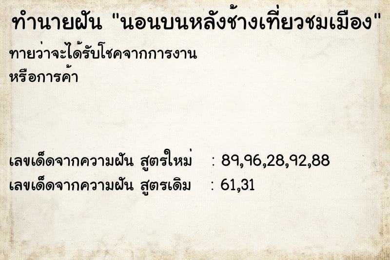 ทำนายฝันนอนบนหลังช้างเที่ยวชมเมือง ทำนายฝันทำนายฝันนอนบนหลังช้างเที่ยวชมเมือง