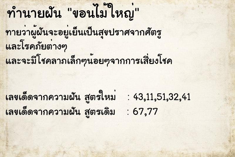 ทำนายฝันขอนไม้ใหญ่ ทำนายฝันทำนายฝันขอนไม้ใหญ่