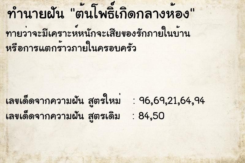 ทำนายฝันต้นโพธิ์เกิดกลางห้อง ทำนายฝันทำนายฝันต้นโพธิ์เกิดกลางห้อง