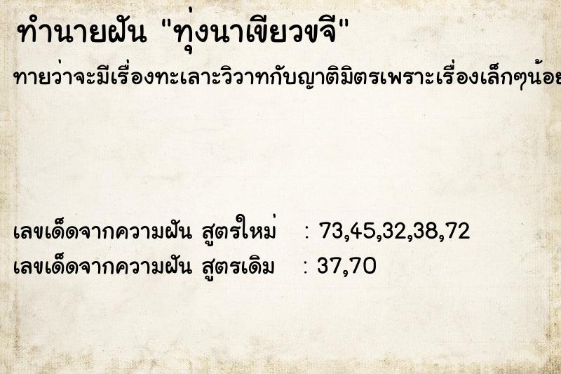 ทำนายฝัน ทุ่งนาเขียวขจี ตำราโบราณ แม่นที่สุดในโลก