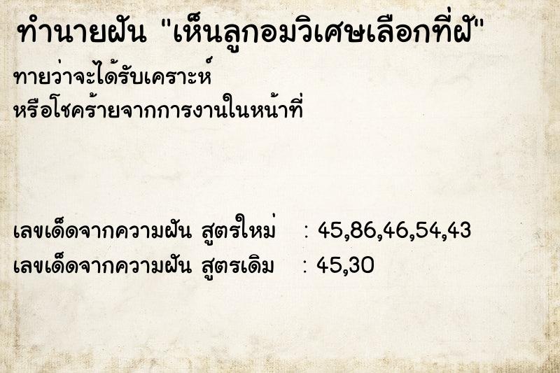 ทำนายฝันทำนายฝันเห็นลูกอมวิเศษเลือกที่ฝั