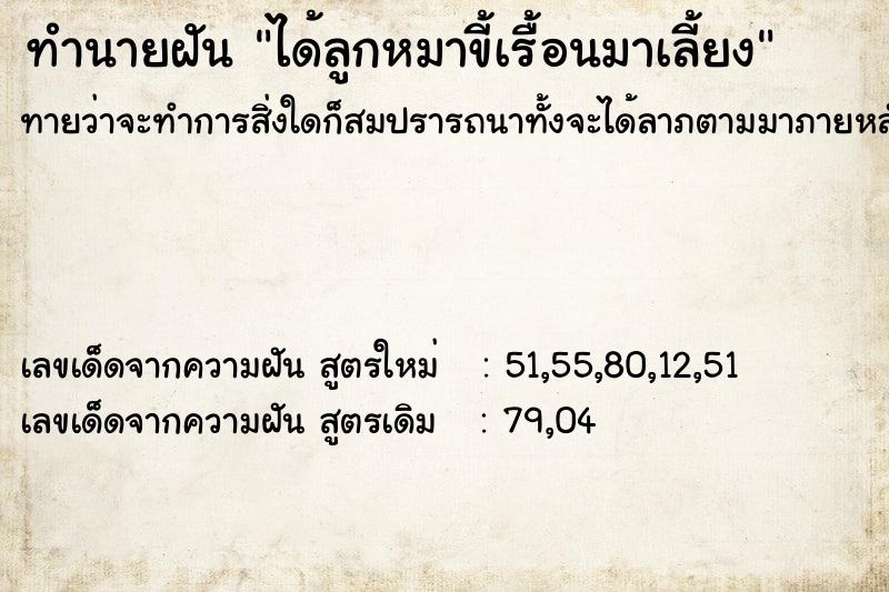 ทำนายฝันทำนายฝันได้ลูกหมาขี้เรื้อนมาเลี้ยง