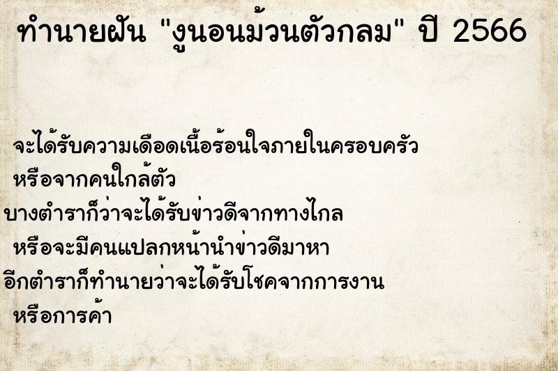 ทำนายฝัน งูนอนม้วนตัวกลม ทำนายฝัน งูนอนม้วนตัวกลม