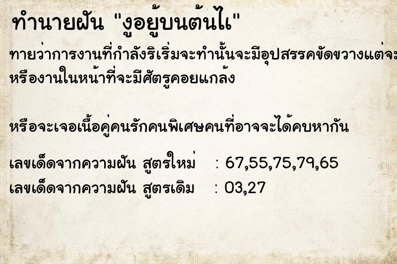 ทำนายฝันทำนายฝันงูอยู้บนต้นไà