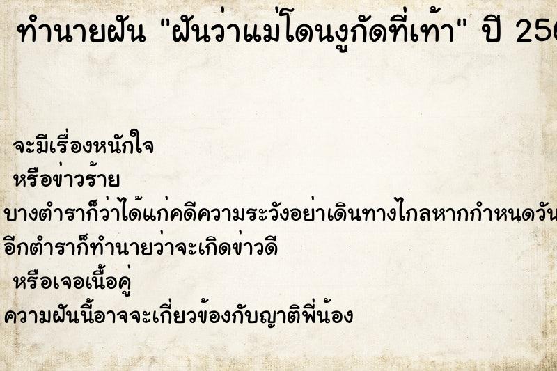 ทำนายฝันฝันว่าแม่โดนงูกัดที่เท้า ทำนายฝันทำนายฝันฝันว่าแม่โดนงูกัดที่เท้า