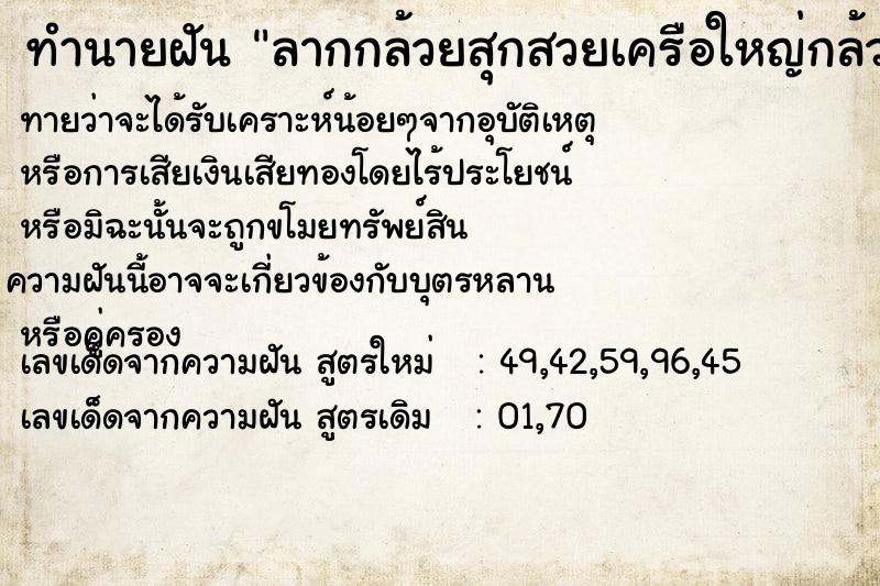 ทำนายฝัน ลากกล้วยสุกสวยเครือใหญ่กล้วยหลุดเละหมด ทำนายฝัน ลากกล้วยสุกสวยเครือใหญ่กล้วยหลุดเละหมด