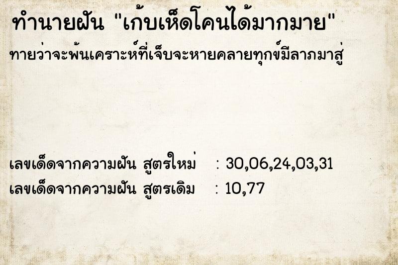 ทำนายฝัน เก้บเห็ดโคนได้มากมาย