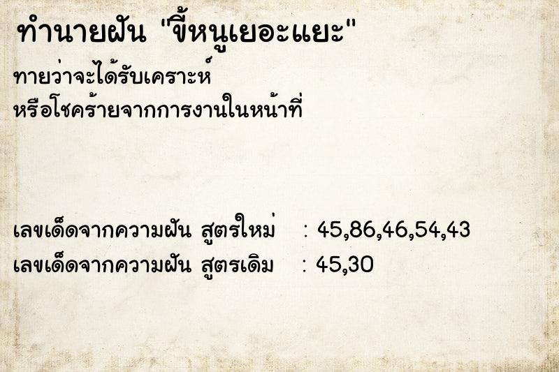 ทำนายฝันขี้หนูเยอะแยะ ทำนายฝันทำนายฝันขี้หนูเยอะแยะ