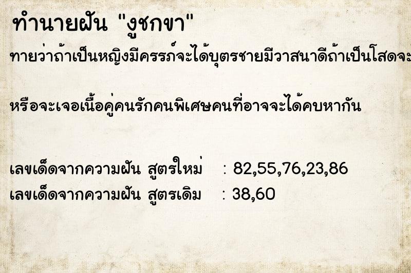 ทำนายฝัน งูชกขา ทำนายฝัน งูชกขา