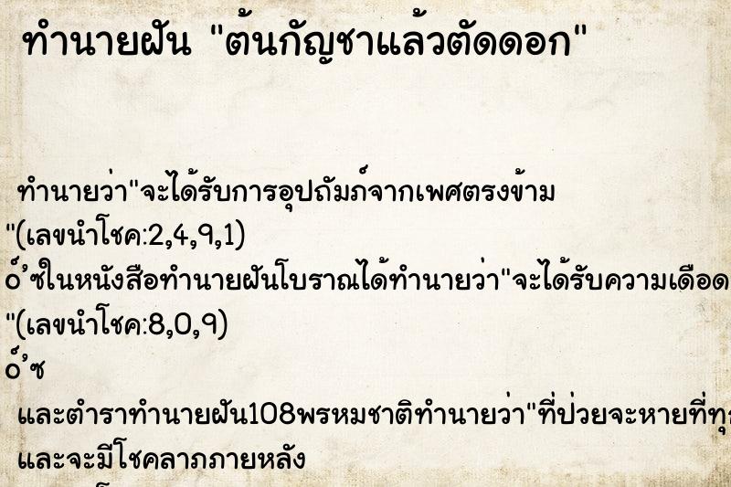 ทำนายฝันต้นกัญชาแล้วตัดดอก ทำนายฝันทำนายฝันต้นกัญชาแล้วตัดดอก